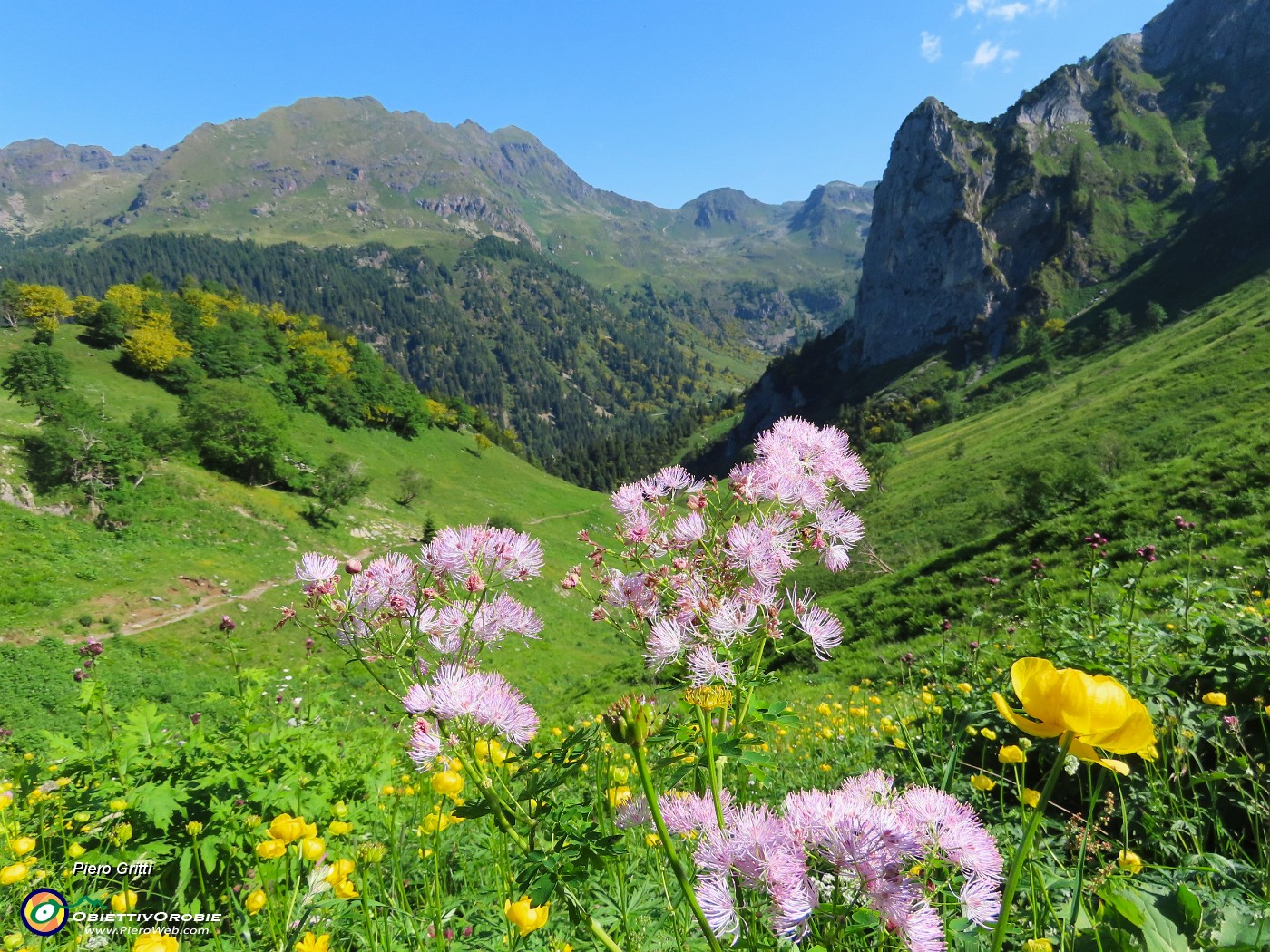 25 Geranium phaeum (Geranio stellato) con vista sul torrione del Corno Branchino ed oltre.JPG
